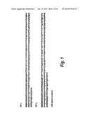 HUMAN MONOCLONAL ANTIBODIES AGAINST INTERLEUKIN 8 (IL-8) diagram and image