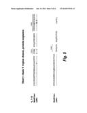 HUMAN MONOCLONAL ANTIBODIES AGAINST INTERLEUKIN 8 (IL-8) diagram and image