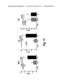 HUMAN MONOCLONAL ANTIBODIES AGAINST INTERLEUKIN 8 (IL-8) diagram and image