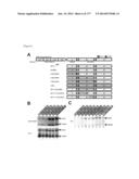 VIRUS-LIKE PARTICLES AND METHODS OF USE diagram and image