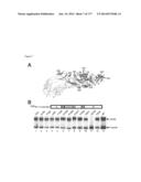 VIRUS-LIKE PARTICLES AND METHODS OF USE diagram and image