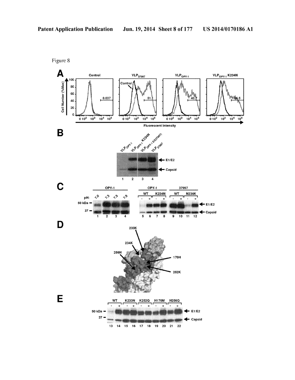 VIRUS-LIKE PARTICLES AND METHODS OF USE - diagram, schematic, and image 09