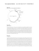 VIRUS-LIKE PARTICLES AND METHODS OF USE diagram and image