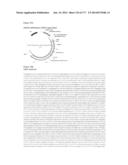 VIRUS-LIKE PARTICLES AND METHODS OF USE diagram and image