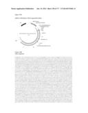 VIRUS-LIKE PARTICLES AND METHODS OF USE diagram and image