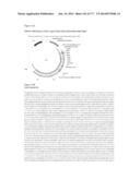 VIRUS-LIKE PARTICLES AND METHODS OF USE diagram and image