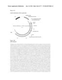 VIRUS-LIKE PARTICLES AND METHODS OF USE diagram and image