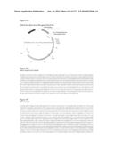 VIRUS-LIKE PARTICLES AND METHODS OF USE diagram and image