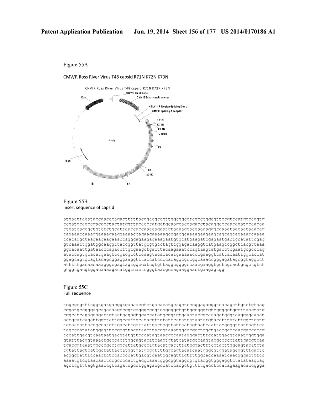 VIRUS-LIKE PARTICLES AND METHODS OF USE - diagram, schematic, and image 157