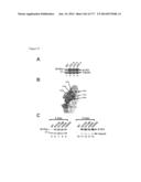 VIRUS-LIKE PARTICLES AND METHODS OF USE diagram and image