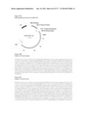 VIRUS-LIKE PARTICLES AND METHODS OF USE diagram and image