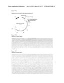 VIRUS-LIKE PARTICLES AND METHODS OF USE diagram and image