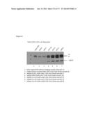 VIRUS-LIKE PARTICLES AND METHODS OF USE diagram and image