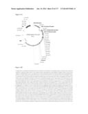 VIRUS-LIKE PARTICLES AND METHODS OF USE diagram and image