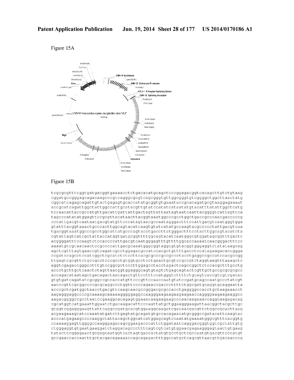 VIRUS-LIKE PARTICLES AND METHODS OF USE - diagram, schematic, and image 29