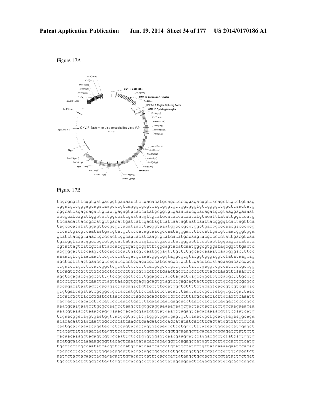 VIRUS-LIKE PARTICLES AND METHODS OF USE - diagram, schematic, and image 35