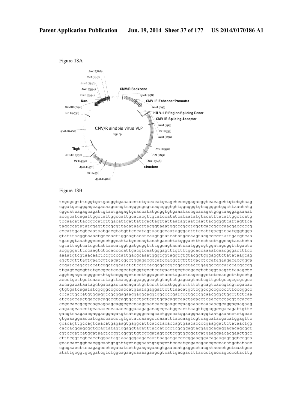 VIRUS-LIKE PARTICLES AND METHODS OF USE - diagram, schematic, and image 38