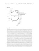 VIRUS-LIKE PARTICLES AND METHODS OF USE diagram and image