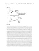 VIRUS-LIKE PARTICLES AND METHODS OF USE diagram and image