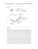 VIRUS-LIKE PARTICLES AND METHODS OF USE diagram and image