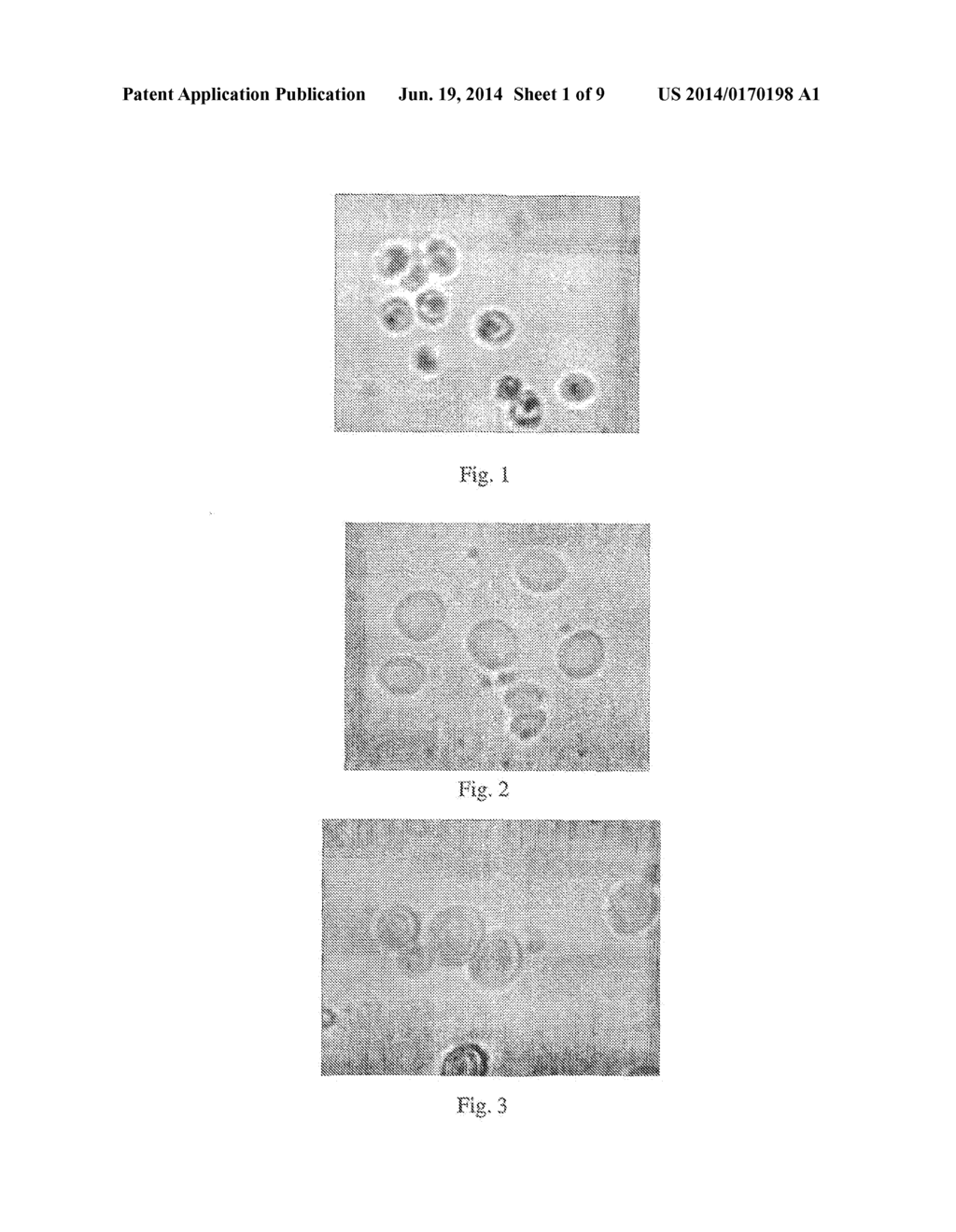 COMPOSITIONS AND METHODS COMPRISING TERPENES OR TERPENE MIXTURES SELECTED     FROM THYMOL, EUGENOL, GERANIOL, CITRAL AND L-CARVONE - diagram, schematic, and image 02