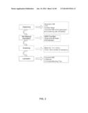 BUPROPION HYDROBROMIDE POLYMORPHS diagram and image