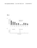 METHODS FOR SCREENING INHIBITORS OF TUMOR ASSOCIATED PROTEIN AGGREGATION diagram and image