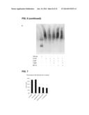 METHODS FOR SCREENING INHIBITORS OF TUMOR ASSOCIATED PROTEIN AGGREGATION diagram and image