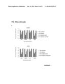 METHODS FOR SCREENING INHIBITORS OF TUMOR ASSOCIATED PROTEIN AGGREGATION diagram and image