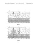 LAYERED ARCHITECTURAL PERVIOUS CONCRETE diagram and image