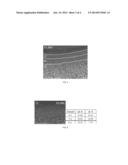 TiAgN COATING LAYER, TiAgN COATING METHOD AND TiAgN COATING APPARATUS diagram and image