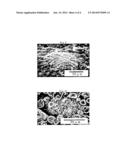 METHOD FOR PRODUCING ANODE FOR LITHIUM SECONDARY BATTERY AND ANODE     COMPOSITION, AND LITHIUM SECONDARY BATTERY diagram and image