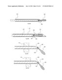 STERILE SAMPLE INJECTOR AND METHOD diagram and image