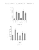 EXPRESSION OF ISOFORM 202 OF ERCC1 FOR PREDICTING RESPONSE TO CANCER     CHEMOTHERAPY diagram and image