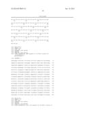 EXPRESSION OF ISOFORM 202 OF ERCC1 FOR PREDICTING RESPONSE TO CANCER     CHEMOTHERAPY diagram and image