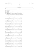 EXPRESSION OF ISOFORM 202 OF ERCC1 FOR PREDICTING RESPONSE TO CANCER     CHEMOTHERAPY diagram and image