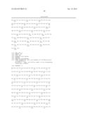 EXPRESSION OF ISOFORM 202 OF ERCC1 FOR PREDICTING RESPONSE TO CANCER     CHEMOTHERAPY diagram and image