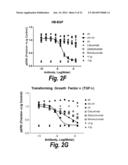 MONOCLONAL AND OLIGOCLONAL ANTI-EGFR ANTIBODIES FOR USE IN THE TREATMENT     OF TUMORS EXPRESSING PREDOMINANTLY HIGH AFFINITY EGFR LIGANDS OR TUMORS     EXPRESSING PREDOMINANTLY LOW AFFINITY EGFR LIGANDS diagram and image