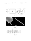 Biological cell nanocavity probes diagram and image