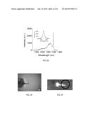 Biological cell nanocavity probes diagram and image