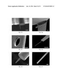 Biological cell nanocavity probes diagram and image