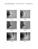 Biological cell nanocavity probes diagram and image