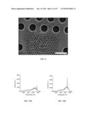 Biological cell nanocavity probes diagram and image