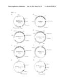 Method For Producing Carotenoids Each Having 50 Carbon Atoms diagram and image