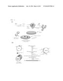 Method For Producing Carotenoids Each Having 50 Carbon Atoms diagram and image