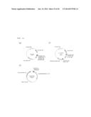 Method For Producing Carotenoids Each Having 50 Carbon Atoms diagram and image