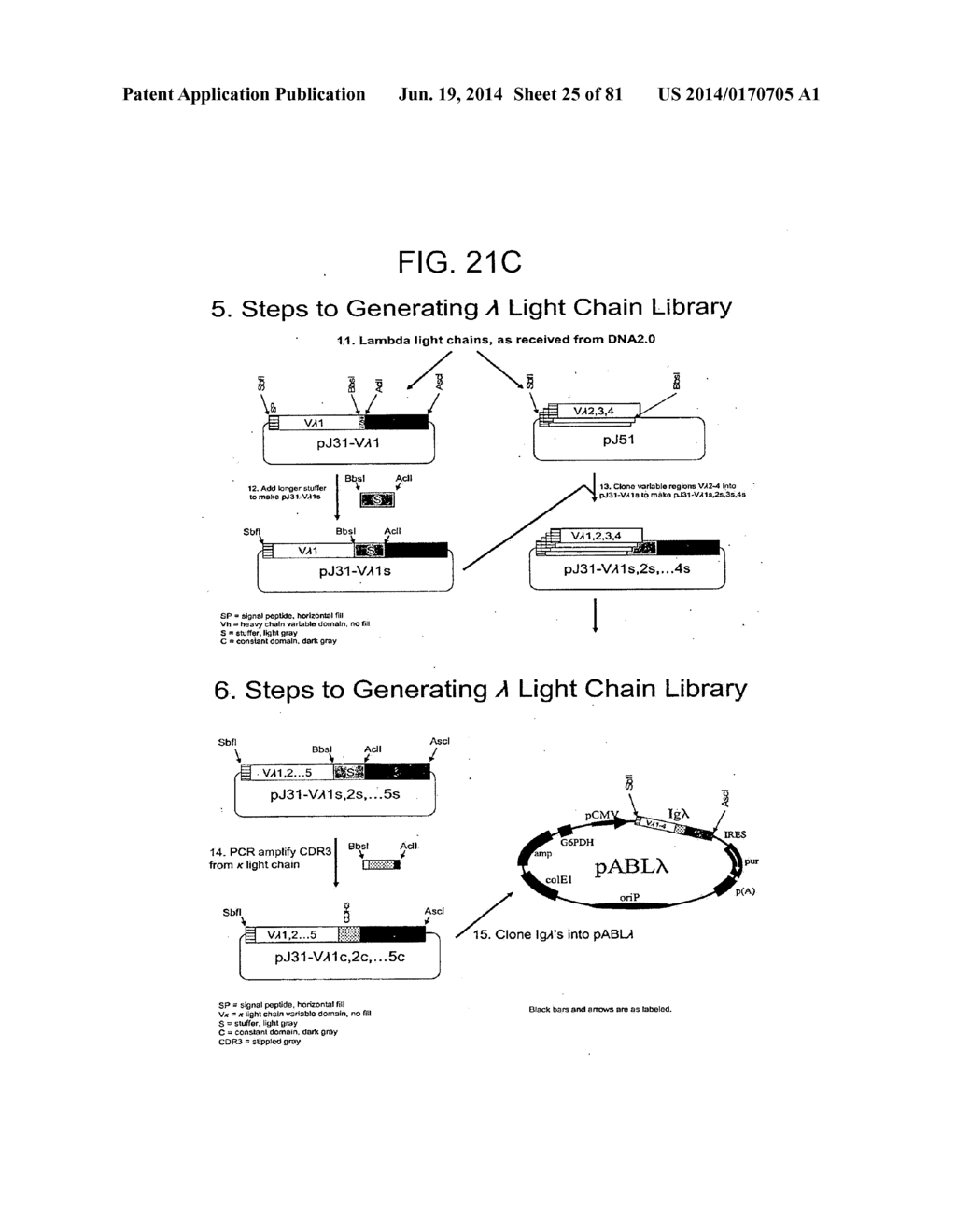 METHODS OF GENERATING LIBRARIES AND USES THEREOF - diagram, schematic, and image 26