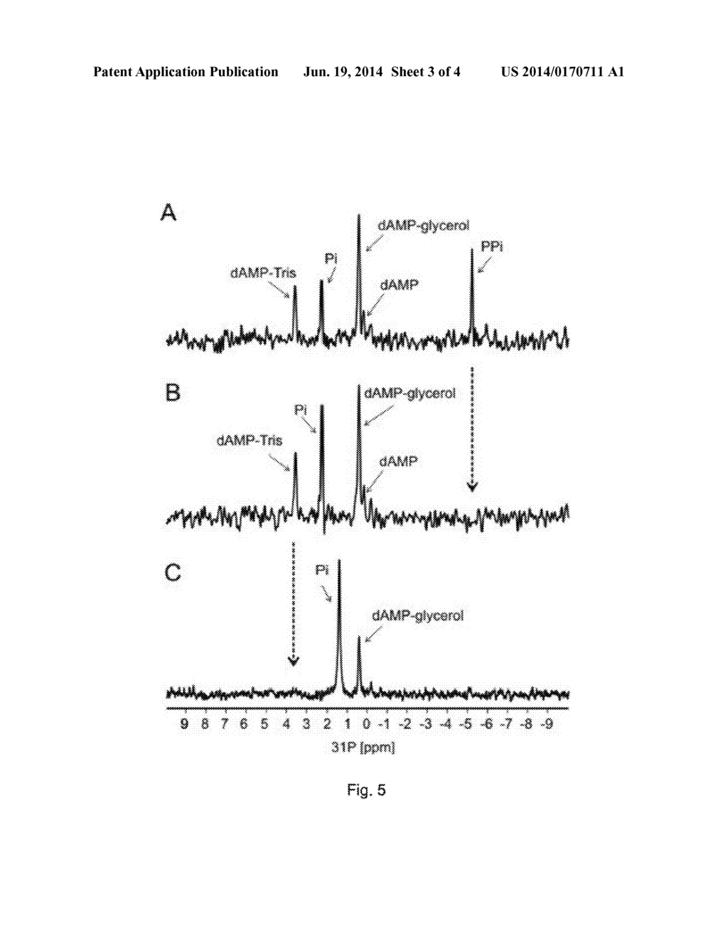 NUCLEOTIDE ANALOGS AND PROCESS FOR MAKING SAME ENZYME - diagram, schematic, and image 04