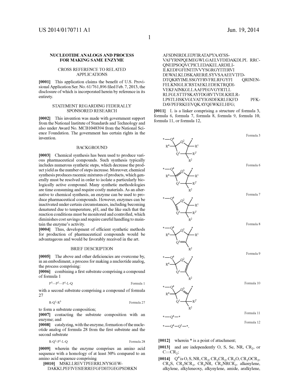 NUCLEOTIDE ANALOGS AND PROCESS FOR MAKING SAME ENZYME - diagram, schematic, and image 06