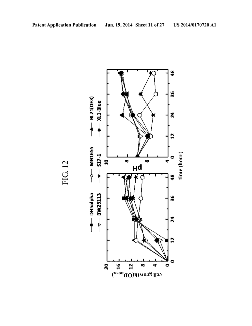 METHOD FOR PRODUCING RETINOID FROM MICROORGANISM - diagram, schematic, and image 12